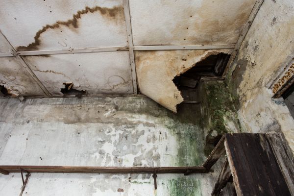 Water Damage Service in Northville