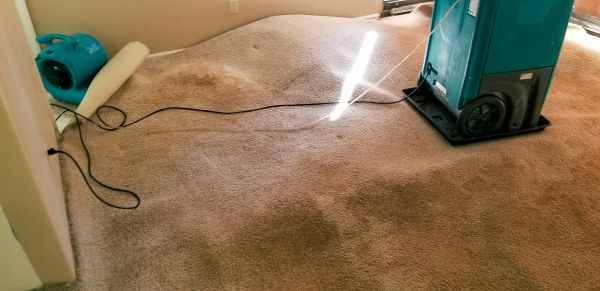 Flood Damage Cleanup in Northville
