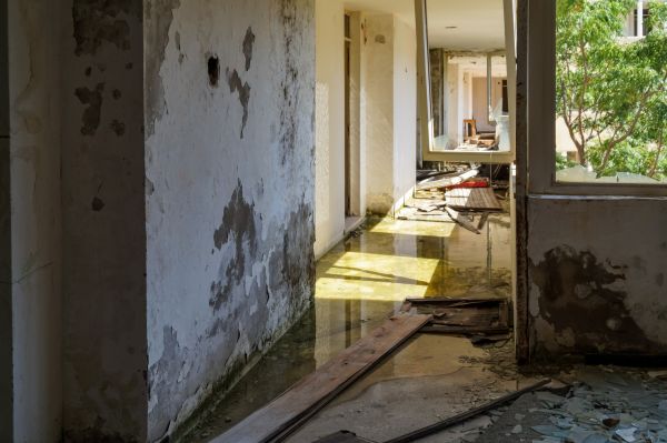 Water Removal Service in Northville