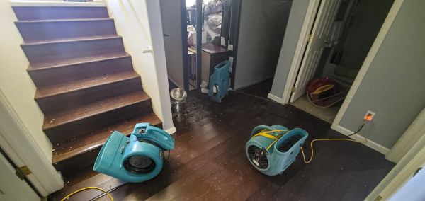 Water Damage Remediation in Northville