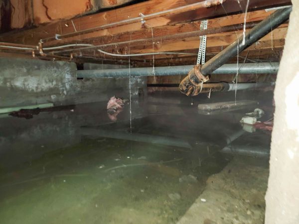 Crawlspace Water Restoration in Northville